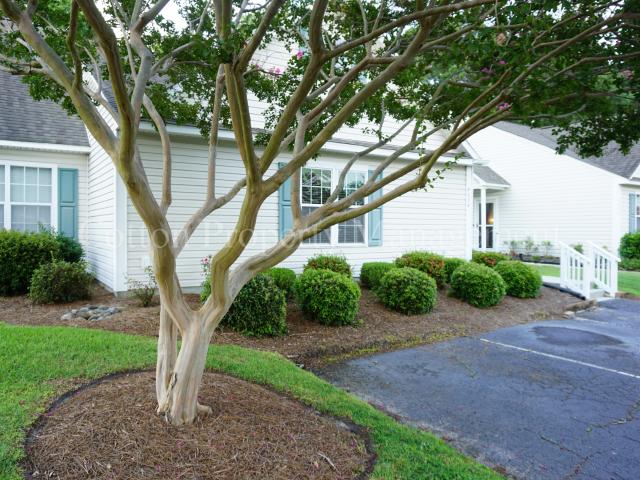 2 BR, 2 BA Apartment 4604 Song Sparrow Ct, Wilmington, NC 28412