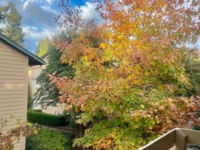 2 BR, 2 BA Apartment 4121 Dale Rd, Unit 148, Modesto, CA 95356
