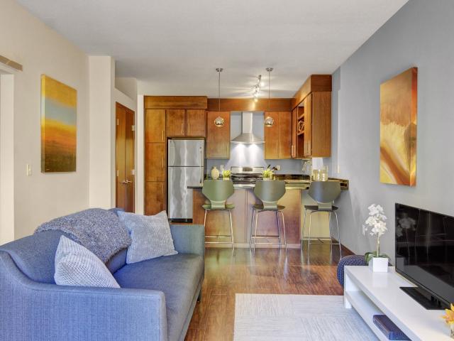 2 BR, 2 BA Apartment 415 Oak Grove Street Unit 100, Minneapolis, MN 55403