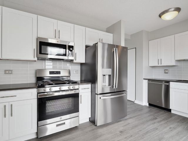 2 BR, 2 BA Apartment 540 N State St Unit 003811, Chicago, IL 60654