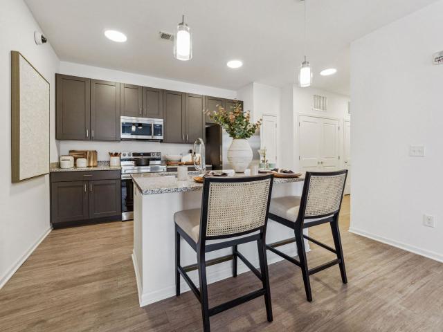 2 BR, 2 BA Apartment 5510 Primary Drive Unit 6202, Durham, NC 27703