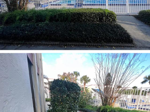 2 BR, 2 BA Apartment 502 Orange Dr, Unit 11, Altamonte Springs, FL 32701