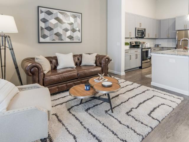 2 BR, 2 BA Apartment 6490 Iron Horse Boulevard Unit 4309, North Richland Hills, TX 76180