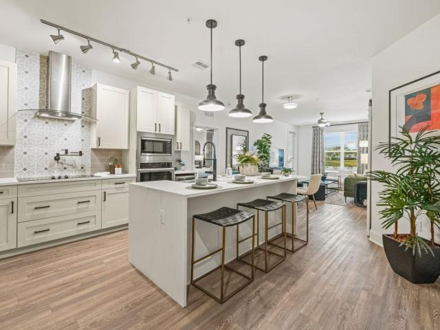 2 BR, 2 BA Apartment 6000 Grande Paradiso Blvd Unit 533, Orlando, FL 32821