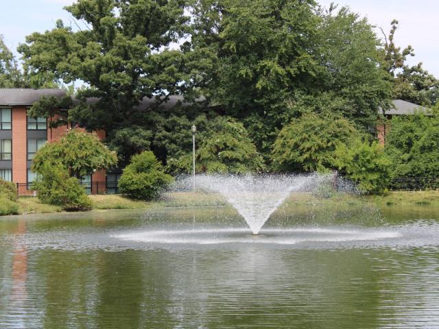 2 BR, 2 BA Apartment 6220 Springhill Dr Unit 9324ER12, Greenbelt, MD 20770