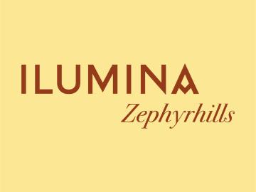 2 BR, 2 BA Apartment 7650 Gall Boulevard Unit 211, Zephyrhills, FL 33541