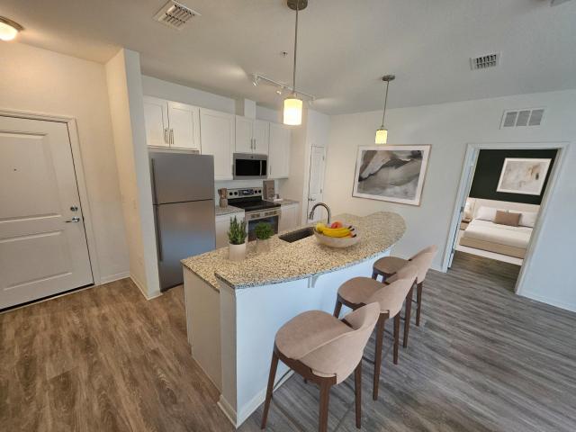 2 BR, 2 BA Apartment 9960 Jonas Salk Dr Unit 309, Riverview, FL 33578