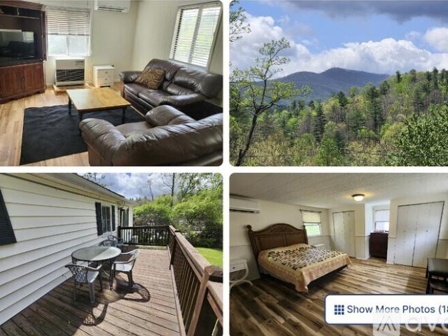 2 BR, 2 BA Apartment 929 Altapass Highway, Spruce Pine, NC 28777