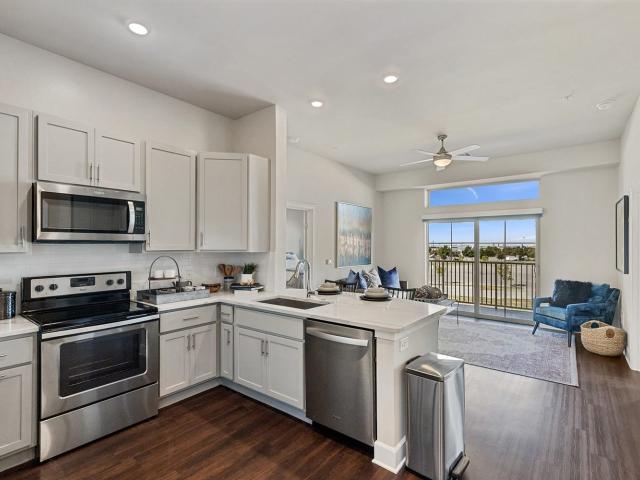 2 BR, 2 BA Apartment 9355 John W. Elliott Drive Unit 2 359, Frisco, TX 75033