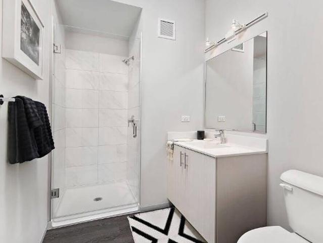 2 Br, 3 bath, Apartment 717 S Clark St