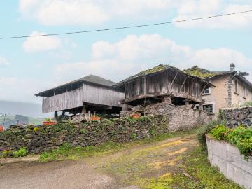 2 CASAS CON FINCA