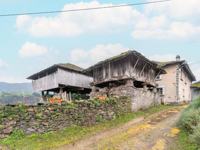 2 CASAS CON FINCA