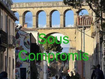 2 chambres, Montpellier Languedoc 34000 98685262