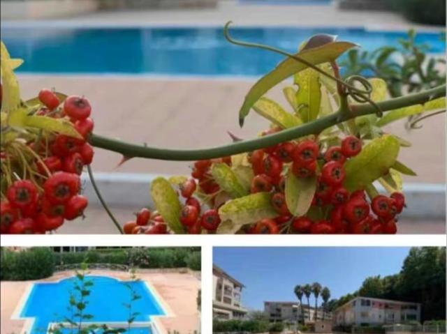 2 chambres, Cagnes Cagnes 06800 103655350