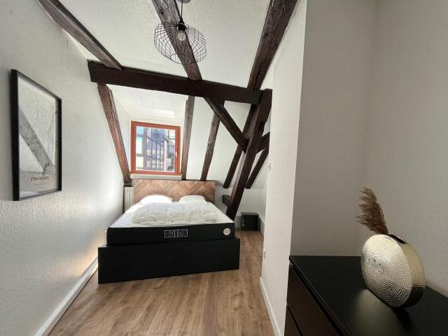 2 chambres, Strasbourg Strasbourg 67000 81825019