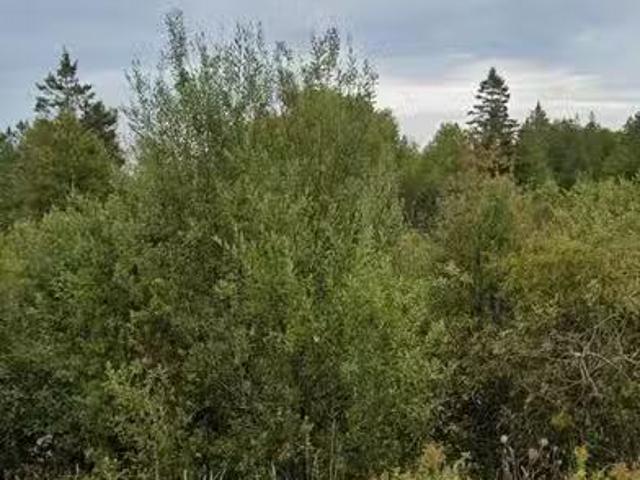 2 Cherry Hill Road, Northern Bruce Peninsula, ON, N0H 1W0 va.