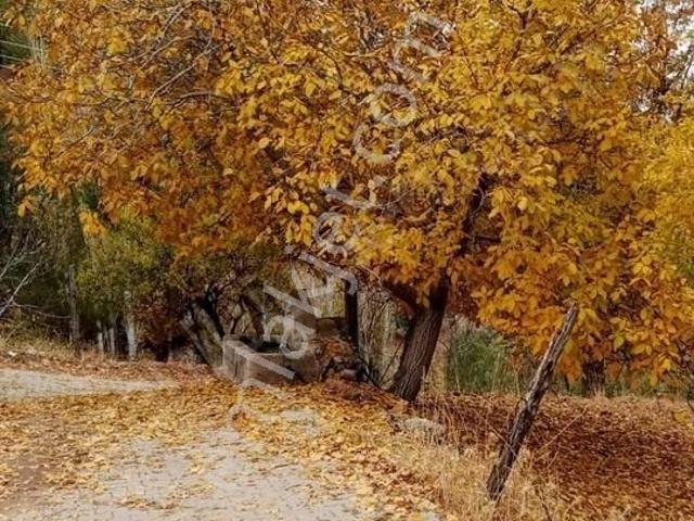 2 Denizli Beyağaçta 2 Villalı Satılık Arsa