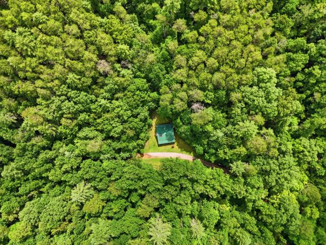 2 Dog Hollow Road