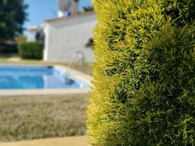 2 Dormitorio Casa Marbella Marbella 95913841