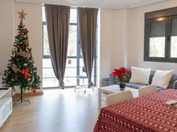 2 Dormitorio Apartamentos Madrid Madrid 103267438