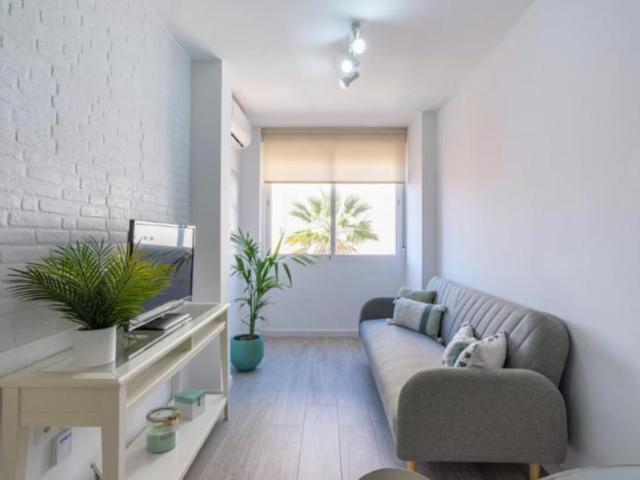 2 Dormitorio Apartamentos Málaga Málaga 104601337