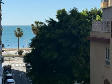2 Dormitorio Apartamentos Málaga Málaga 102246346