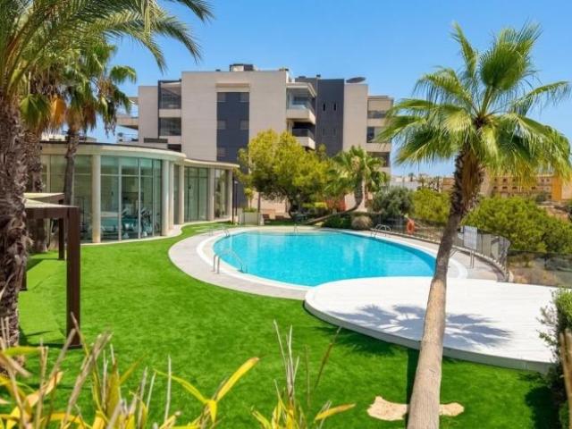 2 Dormitorio Apartamentos Orihuela Costa Alicante 104180026