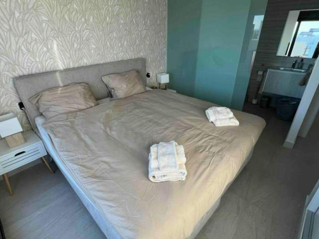 2 Dormitorio Apartamentos Alicante Alicante LS103372447