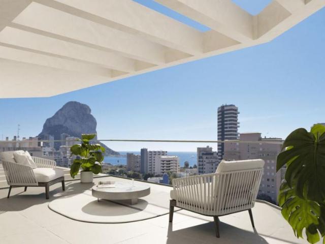 2 Dormitorio Apartamentos Alicante Alicante 101396850