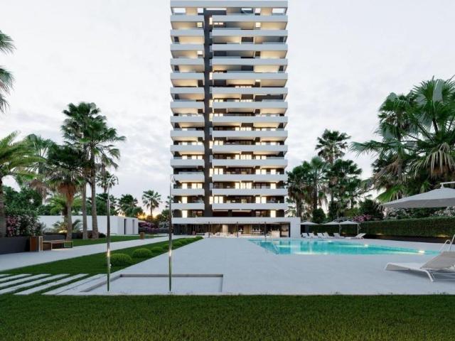 2 Dormitorio Apartamentos Alicante Alicante 102053525