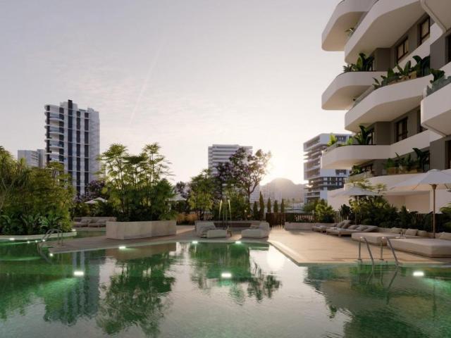 2 Dormitorio Apartamentos Alicante Alicante 102053533