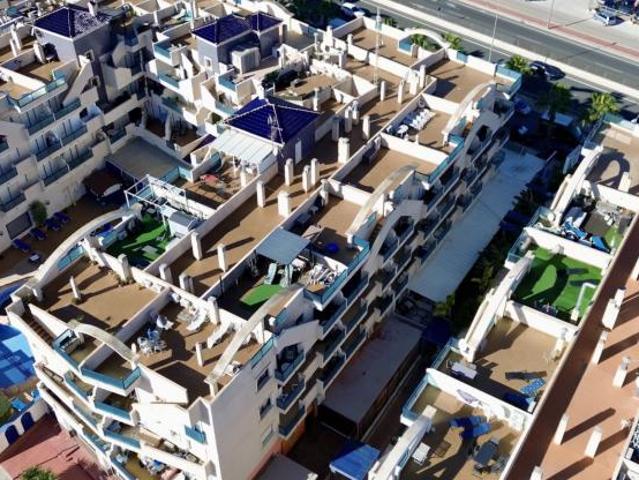 2 Dormitorio Apartamentos Alicante Alicante 102006282