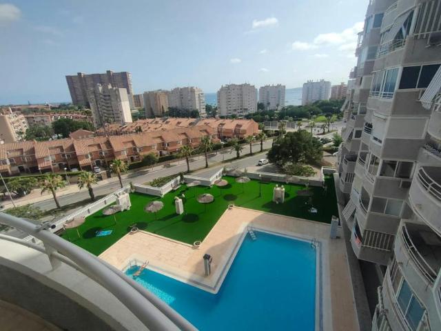 2 Dormitorio Apartamentos Alicante Alicante 105717475