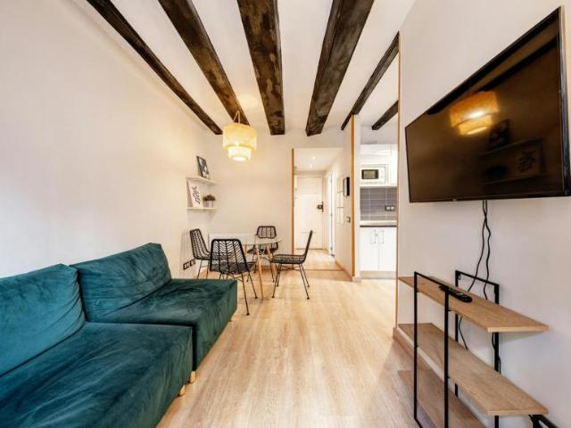 2 Dormitorio Apartamentos Barcelona Barcelona 104912606