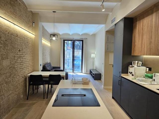 2 Dormitorio Apartamentos Barcelona Barcelona 102884678