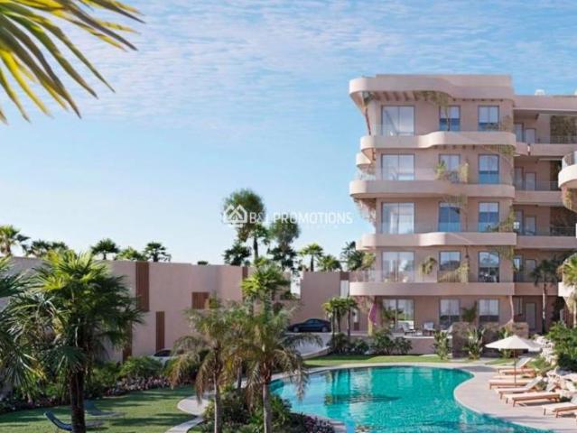 2 Dormitorio Apartamentos Baños Y Mendigo Murcia 98420951