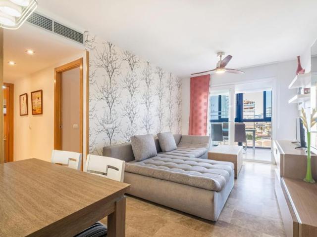 2 Dormitorio Apartamentos Benidorm Benidorm LS105101431