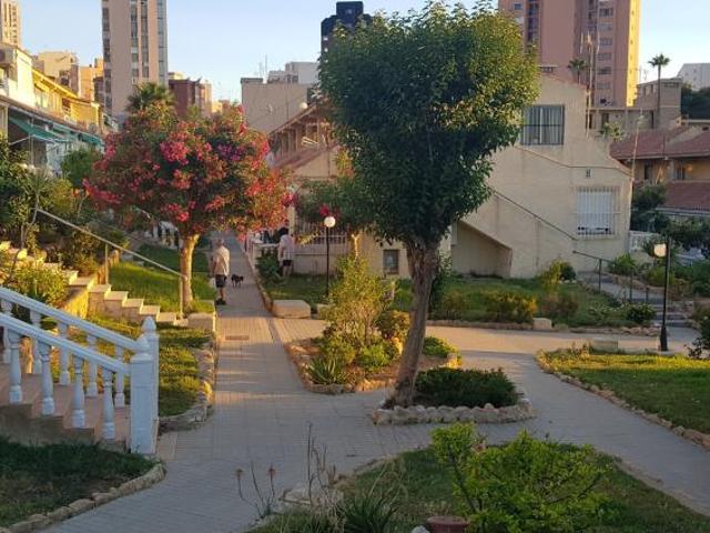2 Dormitorio Apartamentos Benidorm Benidorm 103339610