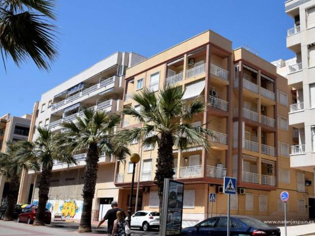 2 Dormitorio Apartamentos Guardamar Del Segura Alicante 99788816