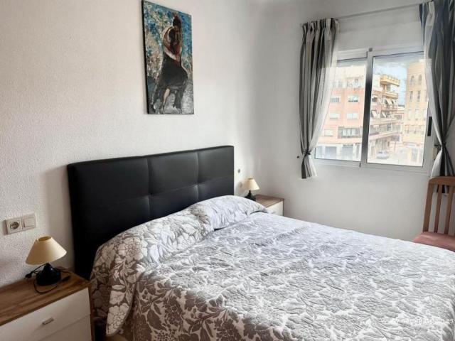 2 Dormitorio Apartamentos Guardamar Del Segura Alicante 90064806