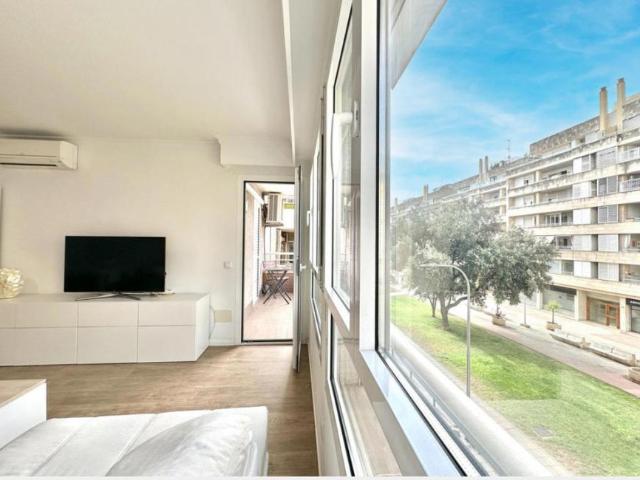 2 Dormitorio Apartamentos Palma Palma 102555085