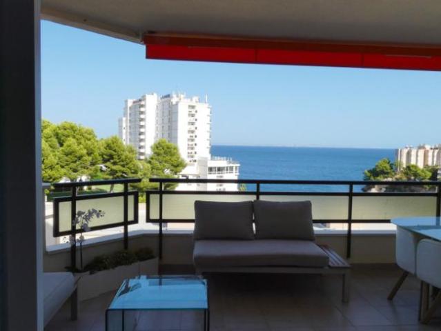 2 Dormitorio Apartamentos Palma Palma 90390066