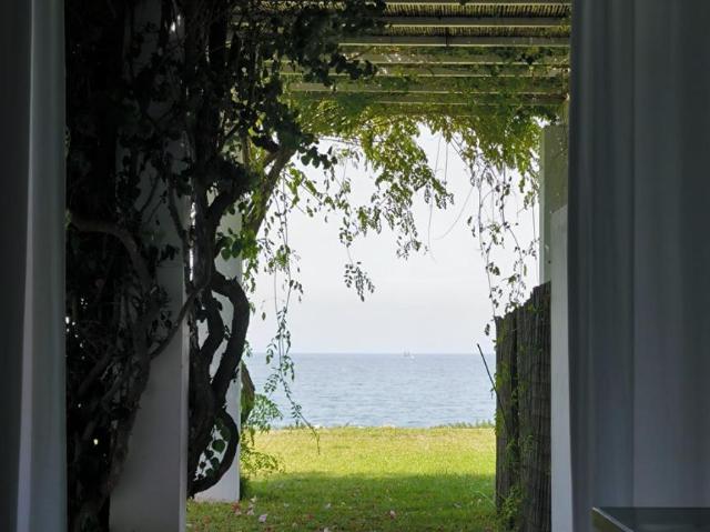 2 Dormitorio Apartamentos Sanlúcar De Barrameda Sanlúcar De Barrameda 104890037