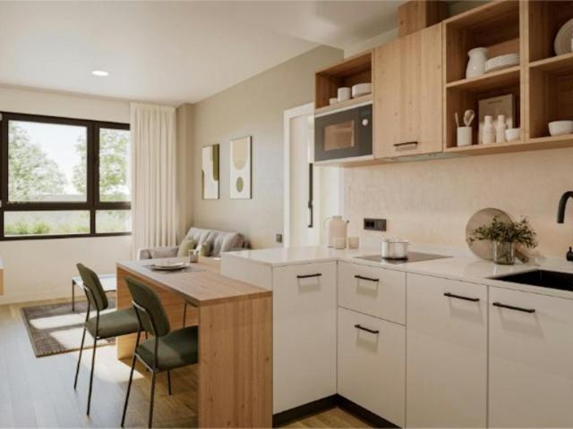 2 Dormitorio Apartamentos Tres Cantos Tres Cantos 103922434