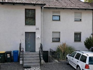 Homburg, Südhessen, Rheinland-Pfalz - Garten