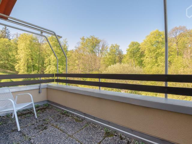 2 floor penthouse in Stuttgart | super quiet, easy access to center, Daimler, military bases | free parking, Stuttgart Amsterdam Apartments for Rent