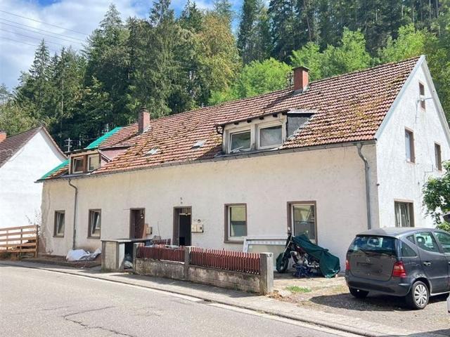2 Häuser 1 Grundstück in Elmstein
