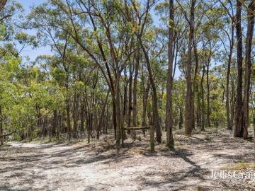 2 hectares of peaceful bushland living Smythes Creek