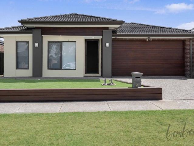 2 Living Areas + Alfresco