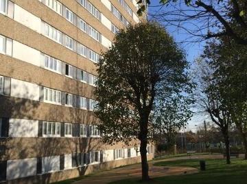 93380, Pierrefitte-sur-Seine, Seine-Saint-Denis, Île-de-France